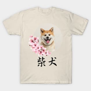 Shiba Inu & Cherry Blossom2 T-Shirt